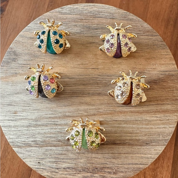 Set of Five Colorful Ladybug Pins - Picture 4 of 9